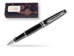 Waterman Expert Black CT Fountain Pen