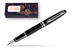 Waterman Expert Matt Black CT Fountain Pen