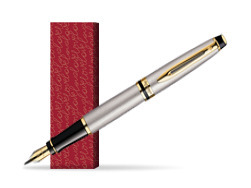 Waterman Expert Stainless Steel GT Fountain pen